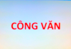 CÔNG VĂN SỐ 416/CV-PTTH