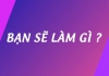 Bạn sẽ làm gì  16/3/2025