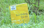 Búi thông thơ dại