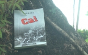 Cai