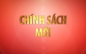 Chính sách mới: Chính sách hỗ trợ mùa dịch ( Số 03 )