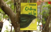 Chồng xứ lạ