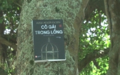 Cô gái trong lồng