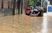 Cuộc sống quanh ta  13/9/2024