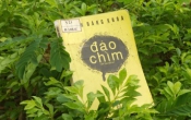 Đảo chìm