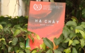 Hạ cháy