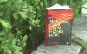 MN1CS: Những con chim hồng hộc