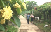 Nam Định tôi yêu ( 10/06/2018 )