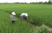 Nhịp cầu nhà nông ( 23/08/2020 )