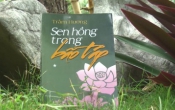 Sen hồng trong bão táp