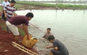 Vùng biển quê tôi ( 23/06/2019 )