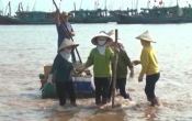 Vùng biển quê tôi ( 30/10/2019 )